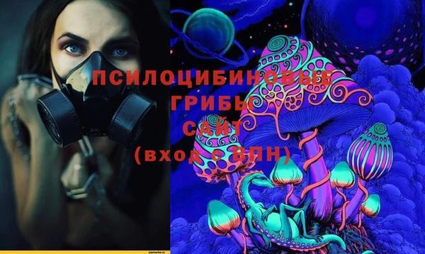 PSILOCYBIN Белоозёрский